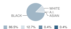 North Iberville Elementary / High School Student Race Distribution