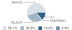 Elton High School Student Race Distribution