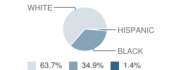 Fenton Elementary School Student Race Distribution