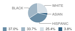 A.c. Alexander Elementary School Student Race Distribution