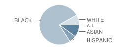 Helen Cox Junior High School Student Race Distribution