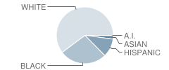 Green Park Elementary School Student Race Distribution