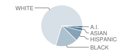 Harahan Elementary School Student Race Distribution