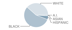 Jefferson Elementary School Student Race Distribution