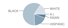 Livaudais Junior High School Student Race Distribution