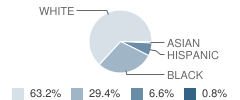 Rudolph Matas School Student Race Distribution