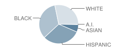 Chateau Estates Elementary School Student Race Distribution