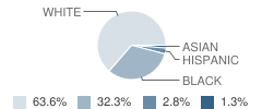 Broussard Middle School Student Race Distribution