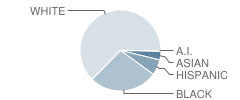 Judice Middle School Student Race Distribution