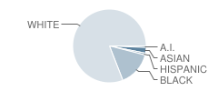 Green T. Lindon Elementary School Student Race Distribution