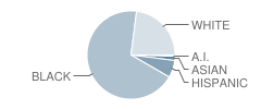 Truman Elementary School Student Race Distribution