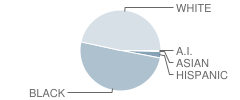 Ossun Elementary School Student Race Distribution