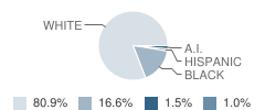 Jena Junior High School Student Race Distribution