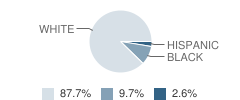 Albany Lower Elementary School Student Race Distribution