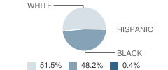 Lakeview Junior-High School Student Race Distribution