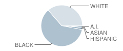 Natchitoches Central High School Student Race Distribution