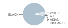 Benjamin Franklin Elementary Math-Science Magnet School Student Race Distribution