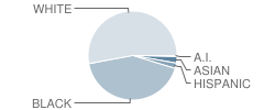 Alexandria High School Student Race Distribution