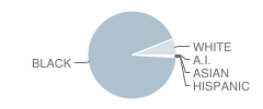 Martin Park Elementary School Student Race Distribution