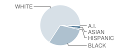 Pineville High School Student Race Distribution