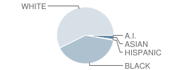 Pineville Junior High School Student Race Distribution