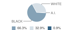 Red River High School Student Race Distribution