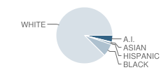 Negreet High School Student Race Distribution