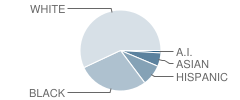 Morgan City High School Student Race Distribution