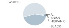 Patterson High School Student Race Distribution