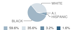 M.d. Shannon Elementary School Student Race Distribution