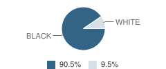 Roseland Elementary School Student Race Distribution