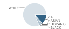 Bourg Elementary School Student Race Distribution