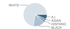 Broadmoor Elementary School Student Race Distribution