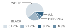 Coteau-Bayou Blue Elementary School Student Race Distribution