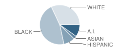 East Houma Elementary School Student Race Distribution