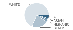 Lisa Park Elementary School Student Race Distribution