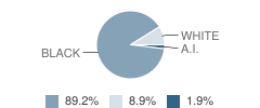 Wesley Ray Elementary School Student Race Distribution