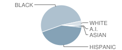 New Boston Pilot Middle School Student Race Distribution