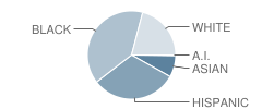 Odyssey High School Student Race Distribution