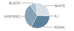 Bartlett Community Partnership School Student Race Distribution