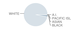 Carver Middle/High School Student Race Distribution