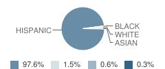 High School Learning Center Student Race Distribution