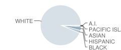 Powder Mill School Student Race Distribution