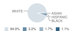 Woodsdale School Student Race Distribution