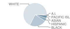 Avon Middle High School Student Race Distribution