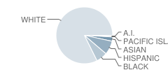 Page-Hilltop School Student Race Distribution