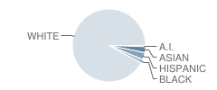 Bellingham High School Student Race Distribution