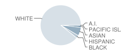 Briscoe Middle School Student Race Distribution