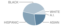 Charlestown High School Student Race Distribution