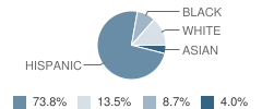 Dante Alighieri School Student Race Distribution